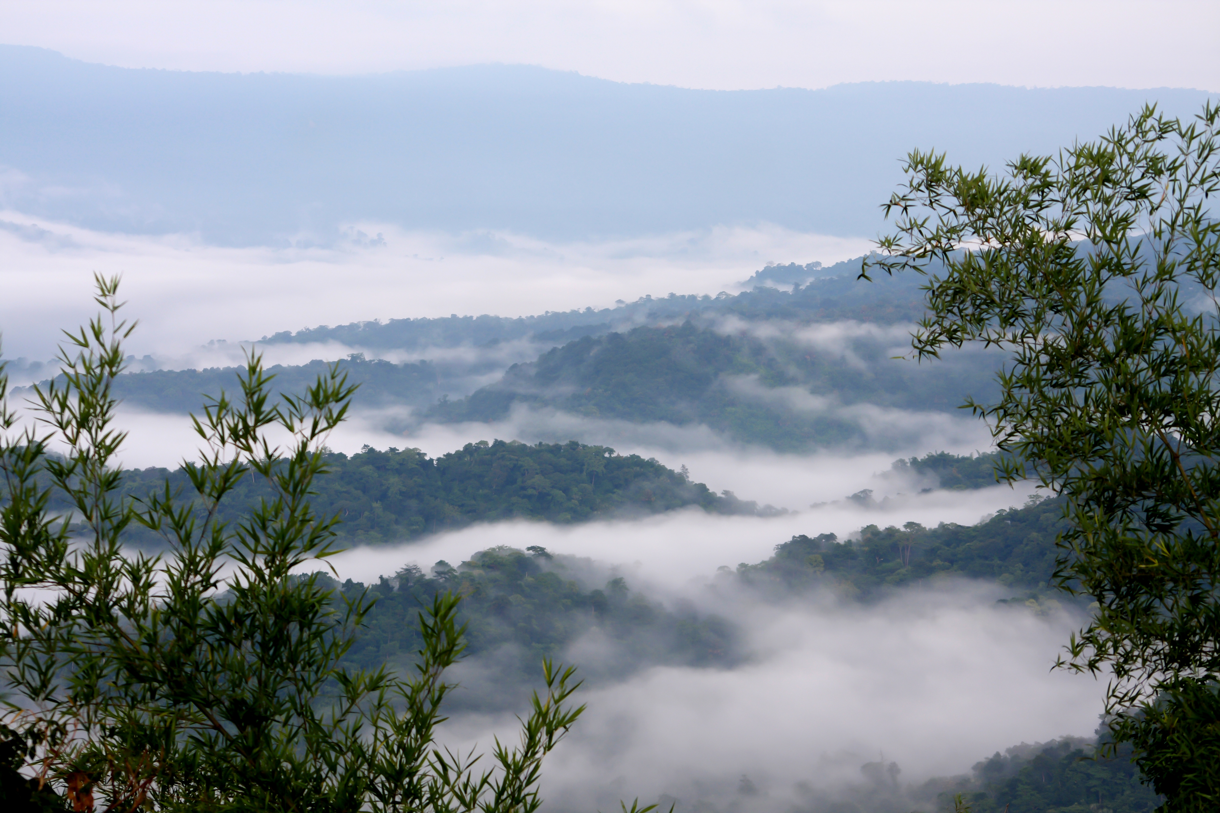 ปราจีนบุรี